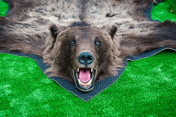 Image showing The head of the brown bear