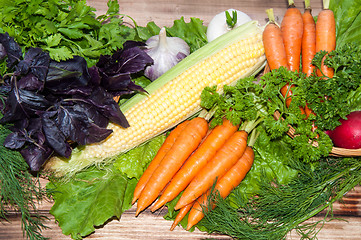 Image showing Carrots and fresh greenery