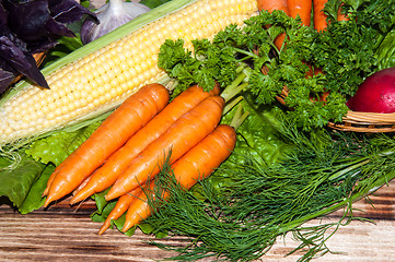 Image showing Carrots and fresh greenery