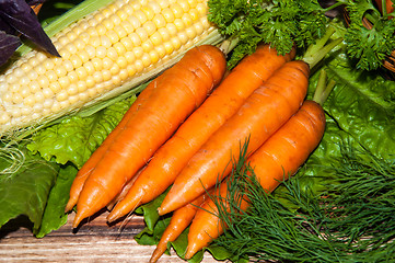 Image showing Carrots and fresh greenery