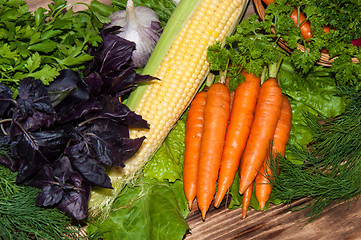 Image showing Carrots and fresh greenery