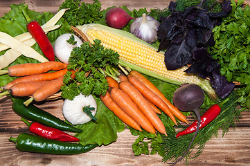 Image showing Carrots and fresh greenery