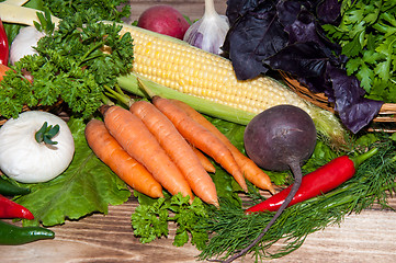 Image showing Carrots and fresh greenery