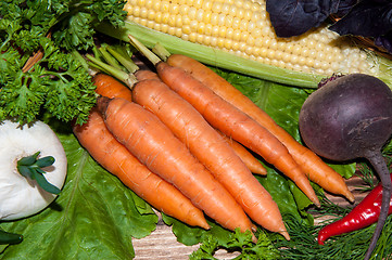 Image showing Carrots and fresh greenery