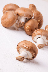 Image showing Fresh brown portobello or agaricus mushrooms