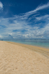 Image showing Beautiful tropical beach with lush vegetation