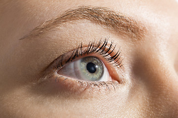 Image showing Close up Woman Eye Looking Up