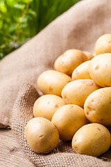 Image showing Farm fresh  potatoes on a hessian sack