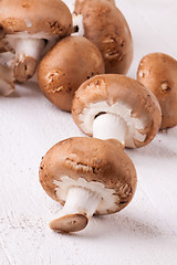 Image showing Fresh brown portobello or agaricus mushrooms