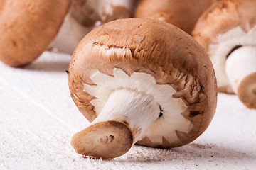 Image showing Fresh brown portobello or agaricus mushrooms