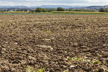 Image showing Harvested potato field with rotovated earth