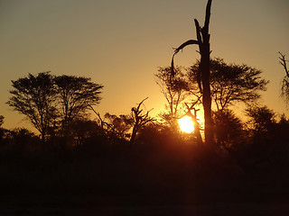 Image showing african sundown scenery