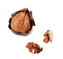 Image showing Walnuts on white background