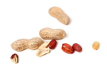 Image showing Peanuts 