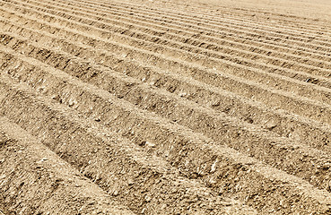 Image showing Furrows Abstract