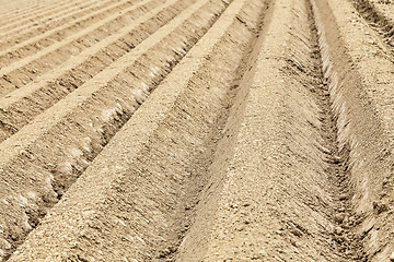 Image showing Furrows Abstract