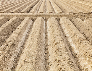 Image showing Furrows Abstract