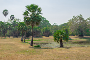 Image showing Angkor Archaeological Park