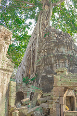 Image showing Angkor Archaeological Park