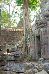 Image showing Angkor Archaeological Park