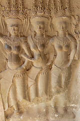 Image showing Angkor Archaeological Park