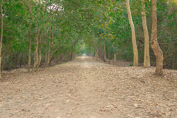 Image showing Angkor Archaeological Park