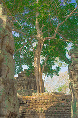 Image showing Angkor Archaeological Park