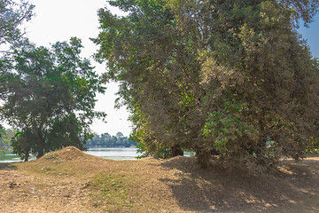 Image showing Angkor Archaeological Park