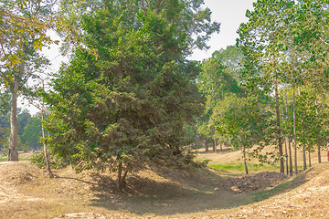 Image showing Angkor Archaeological Park