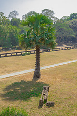 Image showing Angkor Archaeological Park