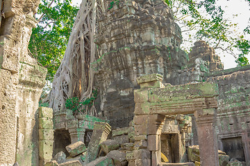 Image showing Angkor Archaeological Park