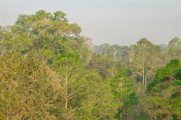 Image showing Angkor Archaeological Park