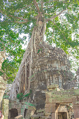 Image showing Angkor Archaeological Park