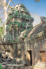 Image showing Angkor Archaeological Park