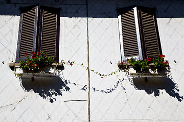 Image showing  terrace europe  italy    in  the milano old     flower