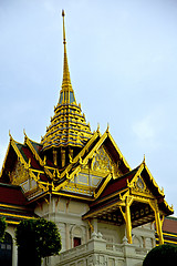 Image showing  thailand  in  bangkok  rain   temple abstract tree