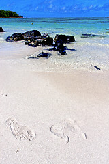 Image showing beach ile du cerfs seaweed in indian footstep