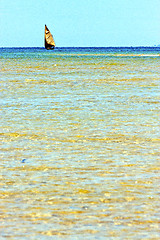 Image showing pirogue beach seaweed in indian 