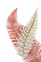 Image showing Silver and red leaf background