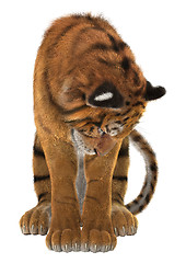 Image showing Tiger