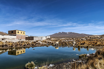 Image showing Peruvian highland lake. Arequipa, Peru.