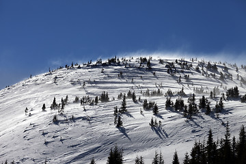 Image showing Winter Carpathian Mountains at wind day