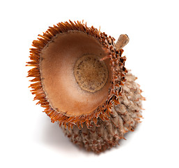 Image showing Empty acorn hat isolated on white background