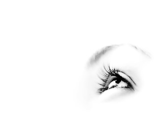 Image showing Women\'s eye - looking forward.Isolated on white.