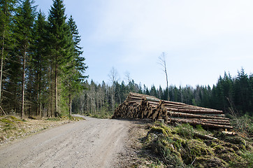 Image showing Timber at roadside