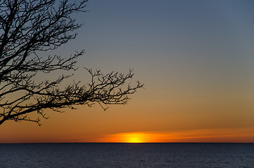 Image showing Nordic sunset