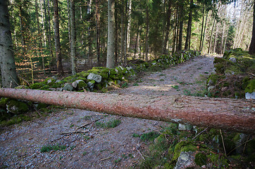 Image showing Road obstacle