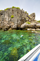 Image showing asia in the  kho phangan isles bay   rocks   swimming