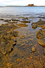 Image showing hervideros   in white coast lanzarote    e water  and summer 