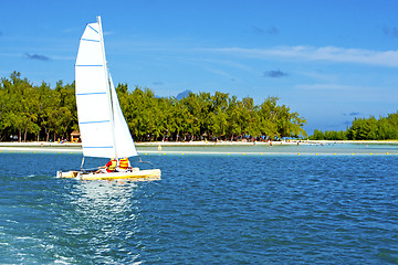 Image showing beach ile du cerfs seaweed   indian boat